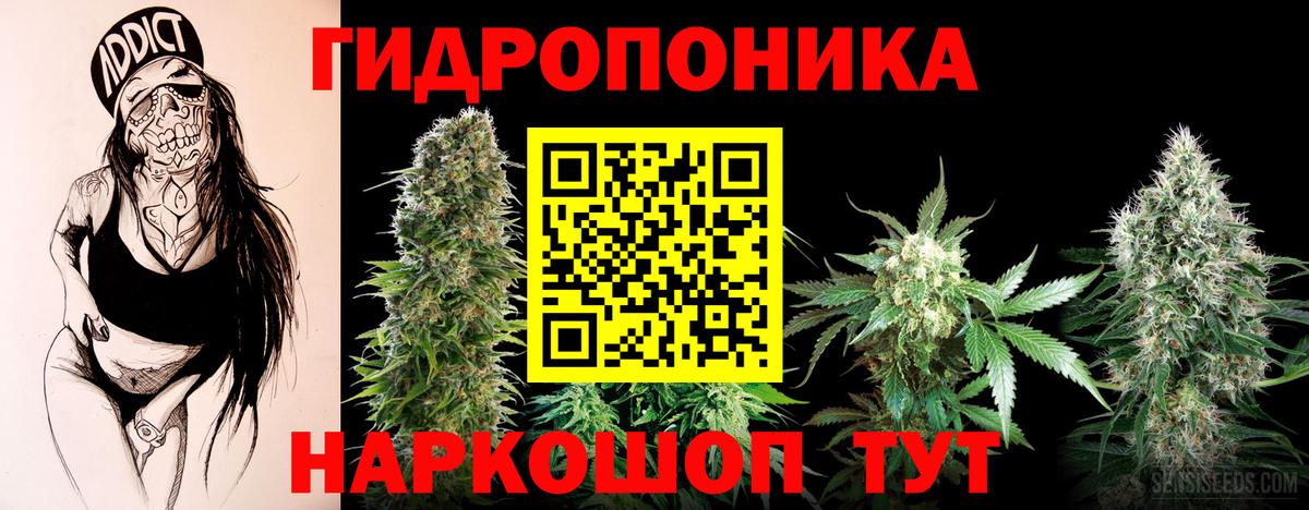 Бошки Шишки семена Оренбург